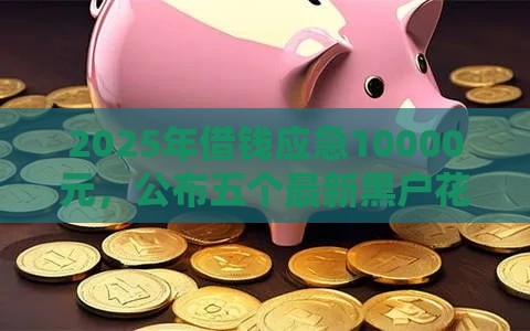 2025年借钱应急10000元，公布五个最新黑户花户在平台能下款