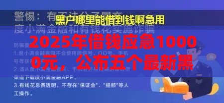 2025年借钱应急10000元，公布五个最新黑户花户在平台能下款