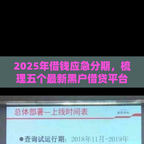 2025年借钱应急分期，梳理五个最新黑户借贷平台
