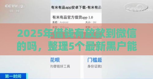 2025年借钱有放款到微信的吗，整理5个最新黑户能贷的网贷平台