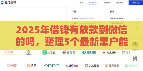2025年借钱有放款到微信的吗，整理5个最新黑户能贷的网贷平台