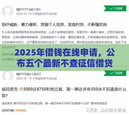 2025年借钱在线申请，公布五个最新不查征信借贷软件