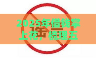 2025年借钱掌上花，梳理五个最新高炮黑户