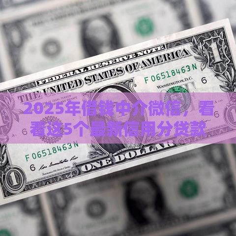 2025年借钱中介微信，看看这5个最新信用分贷款平台