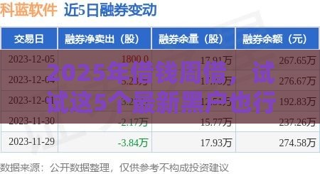2025年借钱周借，试试这5个最新黑户也行借款的软件