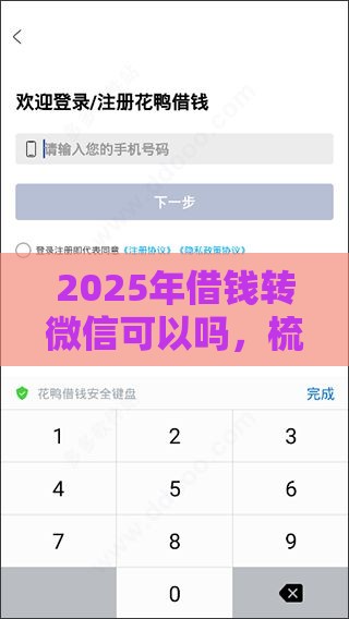 2025年借钱转微信可以吗，梳理五个最新征信花了能下款的平台