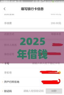 2025年借钱转微信可以吗，梳理五个最新征信花了能下款的平台