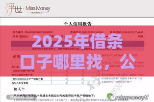 2025年借条口子哪里找，公布5个最新最新不查征信的口子