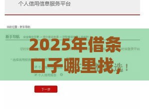 2025年借条口子哪里找，公布5个最新最新不查征信的口子
