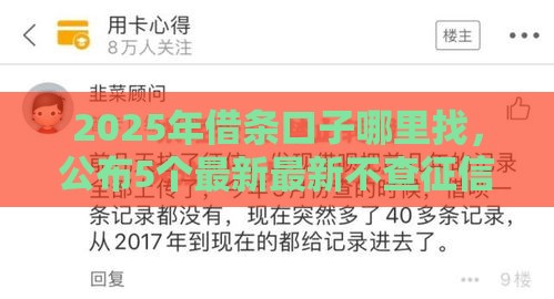 2025年借条口子哪里找，公布5个最新最新不查征信的口子