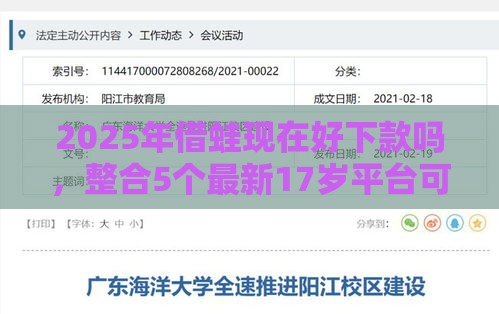 2025年借蛙现在好下款吗，整合5个最新17岁平台可以借钱
