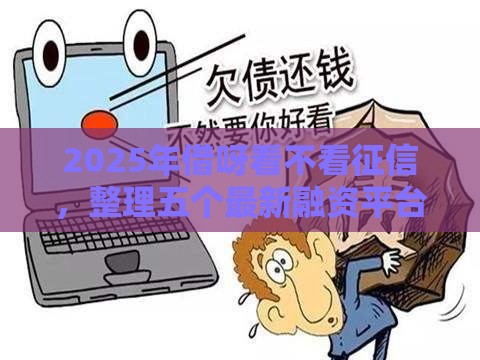 2025年借呀看不看征信，整理五个最新融资平台