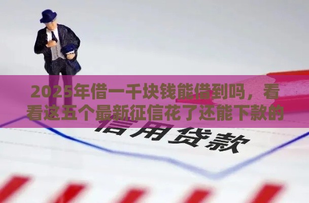 2025年借一千块钱能借到吗，看看这五个最新征信花了还能下款的几千小额度平台
