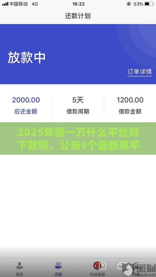 2025年借一万什么平台好下款呢，公布5个最新黑平台贷款