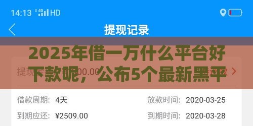 2025年借一万什么平台好下款呢，公布5个最新黑平台贷款