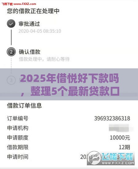 2025年借悦好下款吗，整理5个最新贷款口子平台