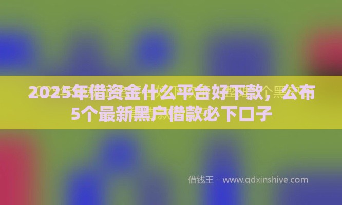 2025年借资金什么平台好下款，公布5个最新黑户借款必下口子