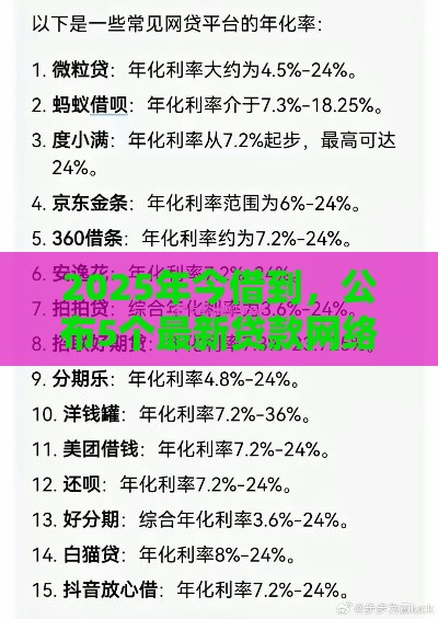 2025年今借到，公布5个最新贷款网络平台