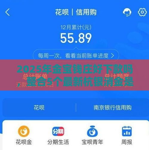 2025年金宝钱庄好下款吗，整合5个最新杭银消金是什么贷款平台