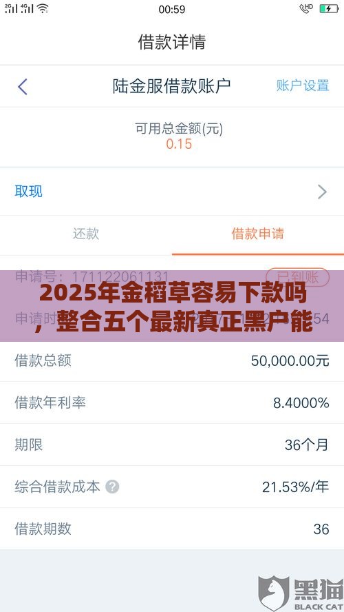 2025年金稻草容易下款吗，整合五个最新真正黑户能下款的网贷平台