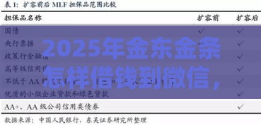 2025年金东金条怎样借钱到微信，看看这五个最新黑户能在借款平台借到钱