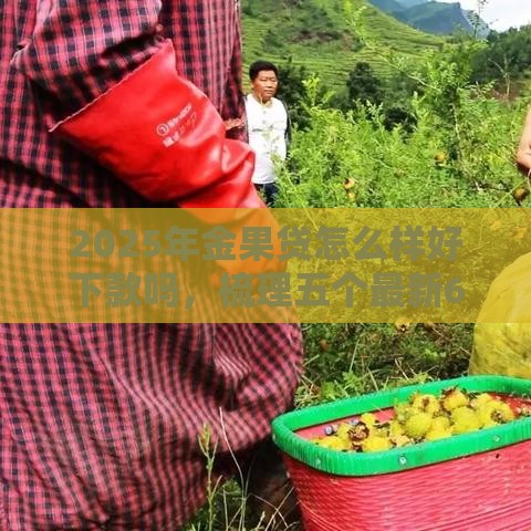 2025年金果贷怎么样好下款吗，梳理五个最新65岁稳放款口子的年龄要求