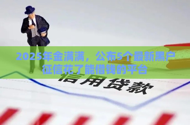 2025年金满满，公布5个最新黑户征信花了能借钱的平台