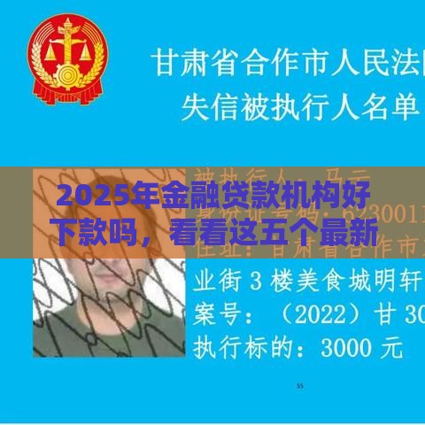 2025年金融贷款机构好下款吗，看看这五个最新网贷平台逾期