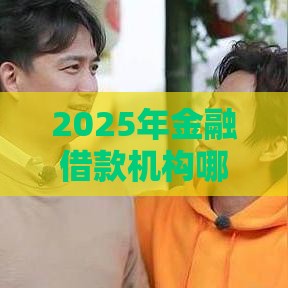 2025年金融借款机构哪家好下款：整理5个2025热门类似微博借钱的平台