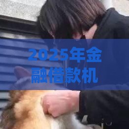 2025年金融借款机构哪家好下款：整理5个2025热门类似微博借钱的平台