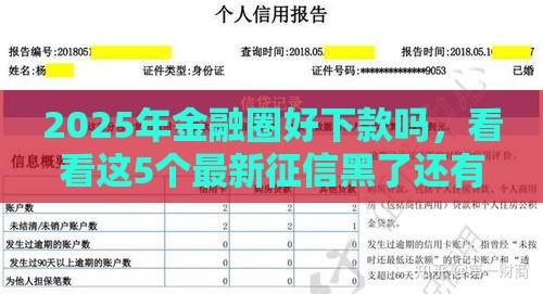 2025年金融圈好下款吗，看看这5个最新征信黑了还有借款平台可以借钱
