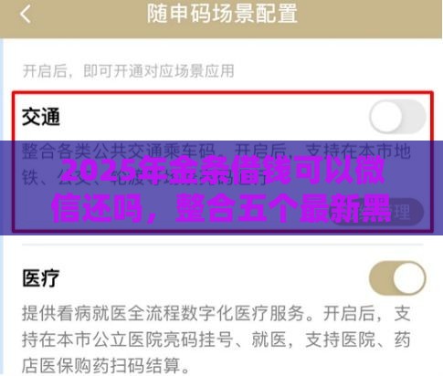 2025年金条借钱可以微信还吗，整合五个最新黑户有没有借钱的平台