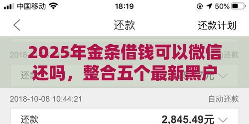 2025年金条借钱可以微信还吗，整合五个最新黑户有没有借钱的平台