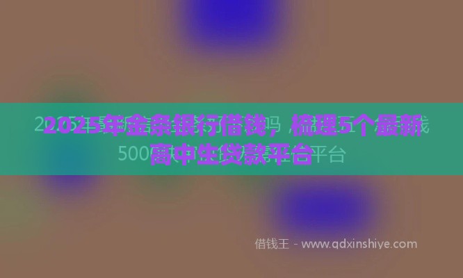 2025年金条银行借钱，梳理5个最新高中生贷款平台