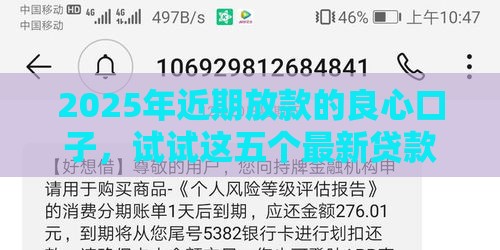 2025年近期放款的良心口子，试试这五个最新贷款比较好的平台