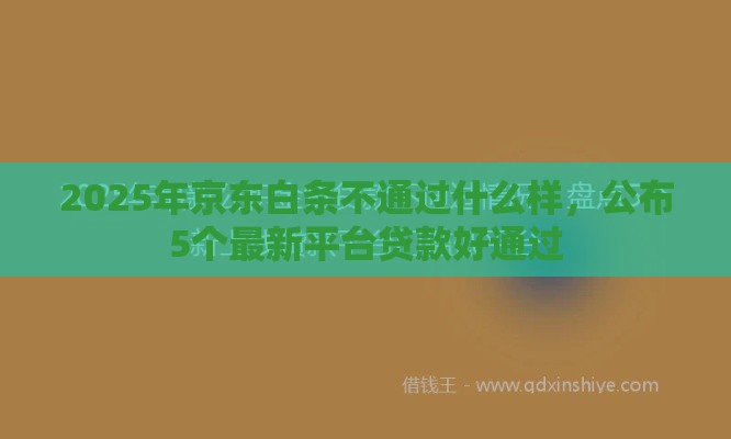 2025年京东白条不通过什么样，公布5个最新平台贷款好通过