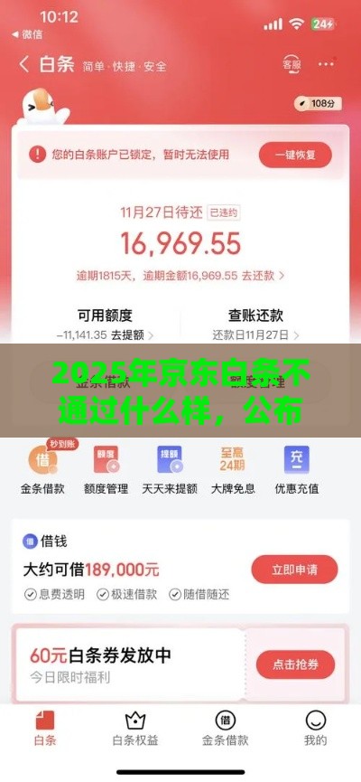 2025年京东白条不通过什么样，公布5个最新平台贷款好通过