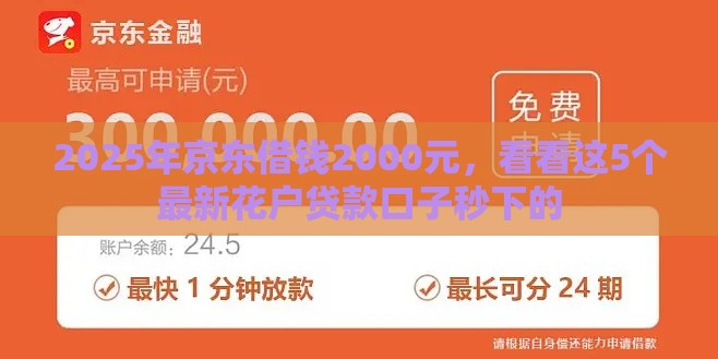 2025年京东借钱2000元，看看这5个最新花户贷款口子秒下的
