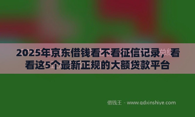 2025年京东借钱看不看征信记录，看看这5个最新正规的大额贷款平台