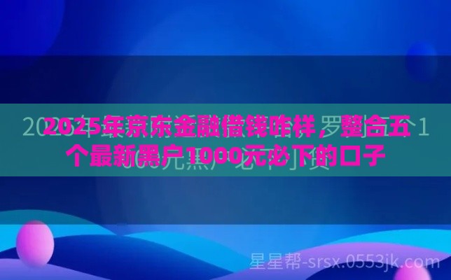 2025年京东金融借钱咋样，整合五个最新黑户1000元必下的口子