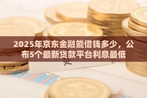 2025年京东金融能借钱多少，公布5个最新贷款平台利息最低