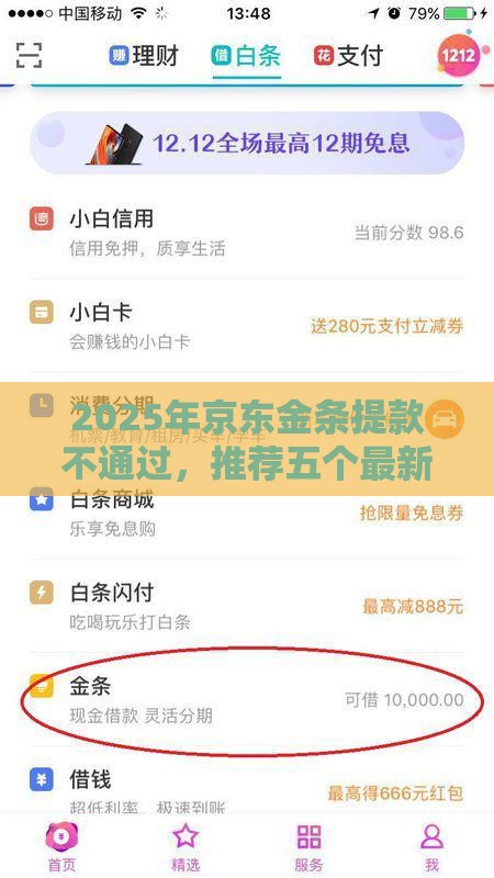 2025年京东金条提款不通过，推荐五个最新支付宝有什么借钱平台