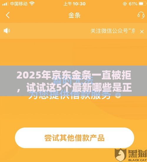 2025年京东金条一直被拒，试试这5个最新哪些是正规网贷平台