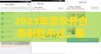 2025年京东开白条刷脸不过，看看这五个最新被起诉还能下款的口子