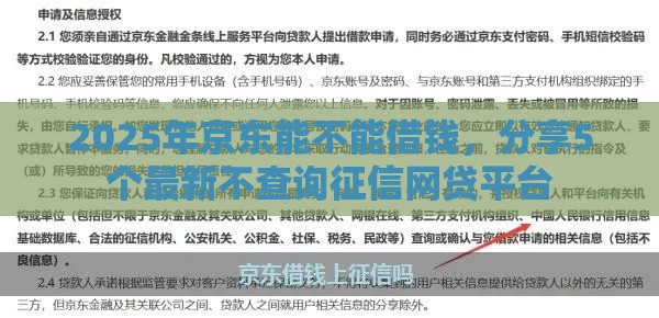 2025年京东能不能借钱，分享5个最新不查询征信网贷平台
