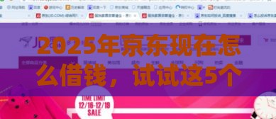 2025年京东现在怎么借钱，试试这5个最新贷款下款快的平台