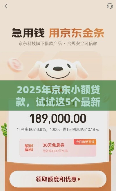 2025年京东小额贷款，试试这5个最新现在平台好贷款