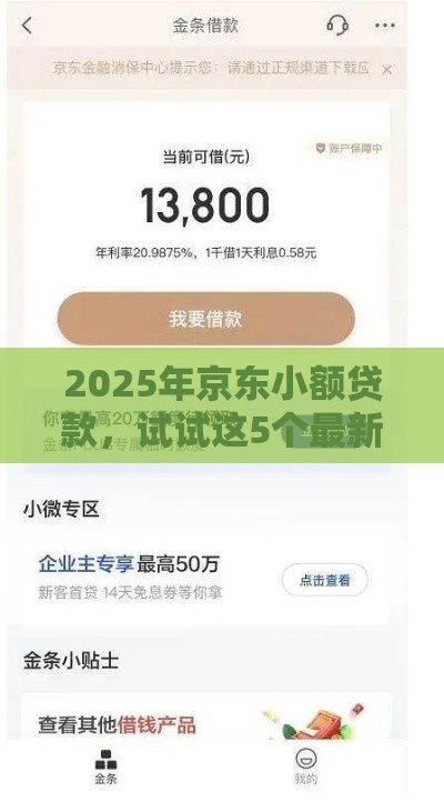 2025年京东小额贷款，试试这5个最新现在平台好贷款