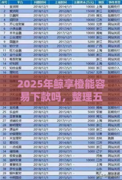 2025年鲸享橙能容易下款吗，整理五个最新网贷平台有多少家