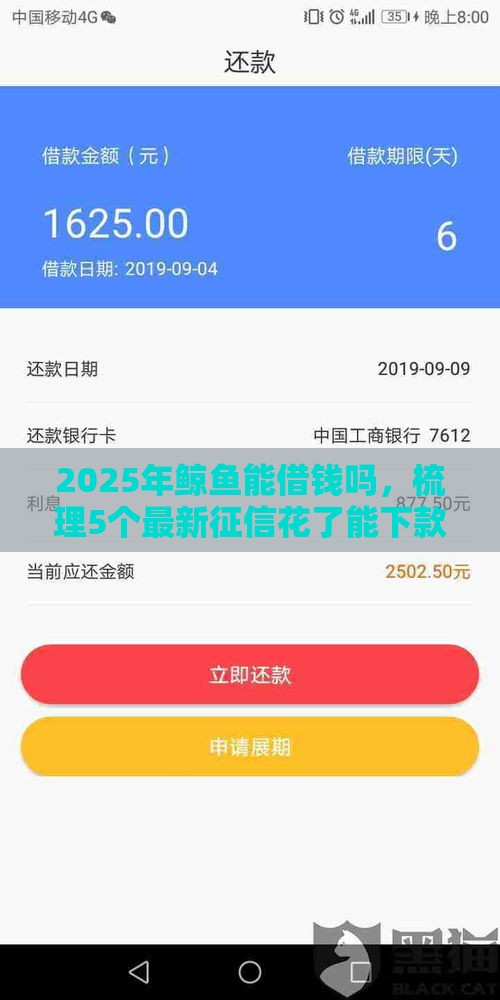 2025年鲸鱼能借钱吗，梳理5个最新征信花了能下款的平台